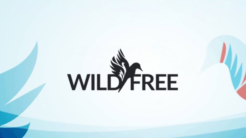 Wild and Free Festival