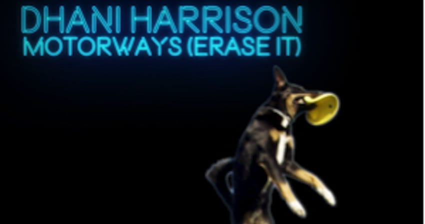 DHarrison