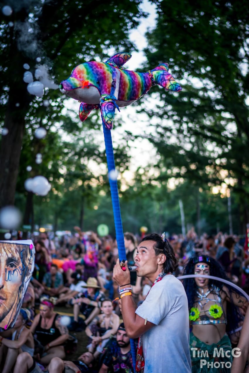 Electric Forest - Moment 8