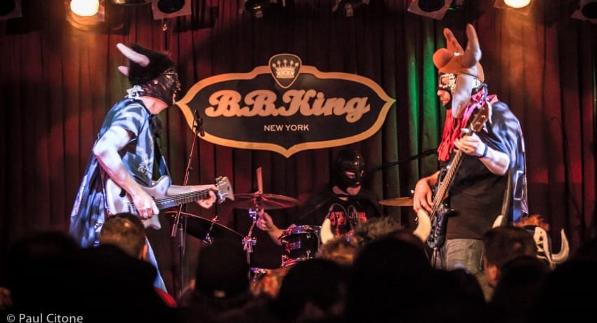 Ha Ha The Moose Live 2015