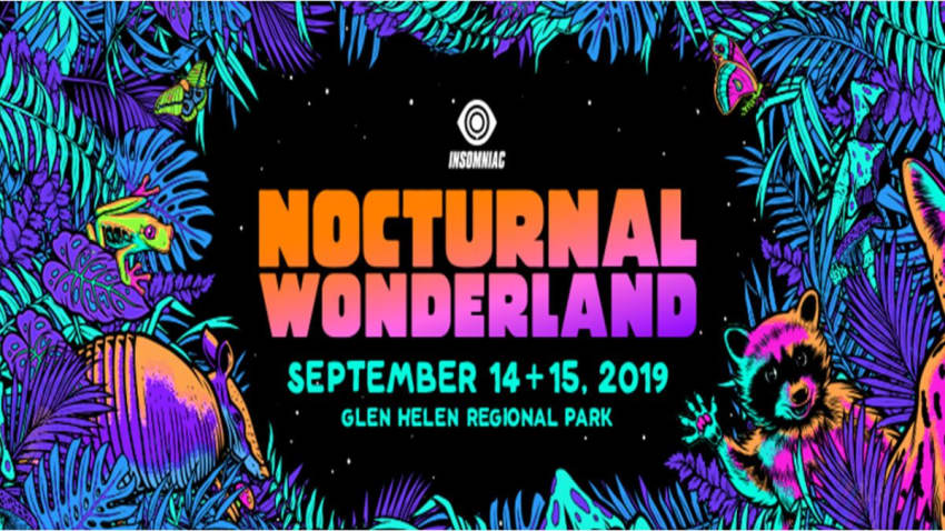 Nocturnal Wonderland