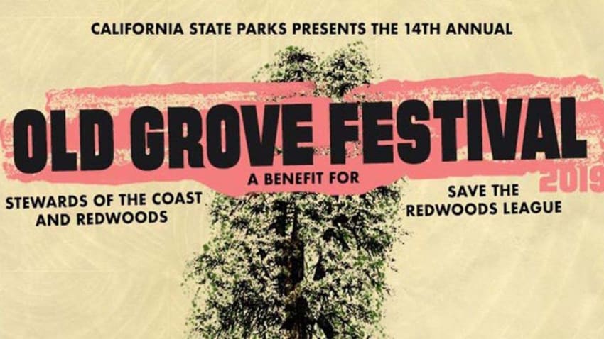 Old Grove Festival