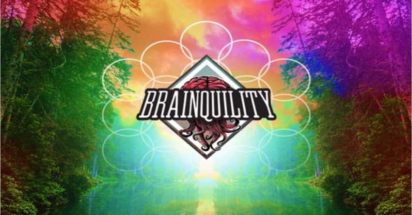 brainquility_feature_2019