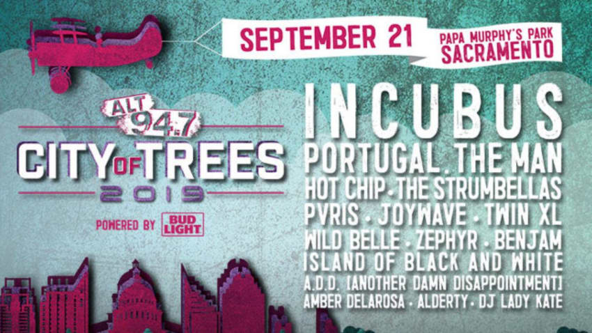City Of Trees