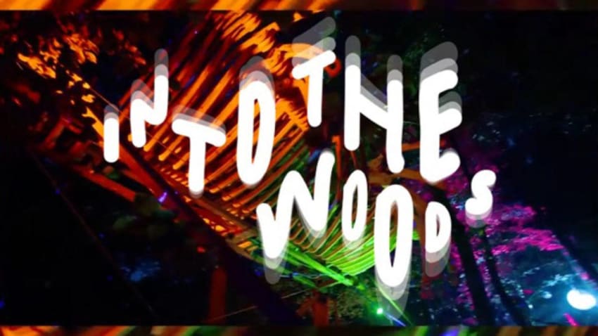 Into the Woods Festival (NL)