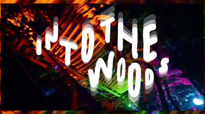into-the-woods-nl-2019-featured