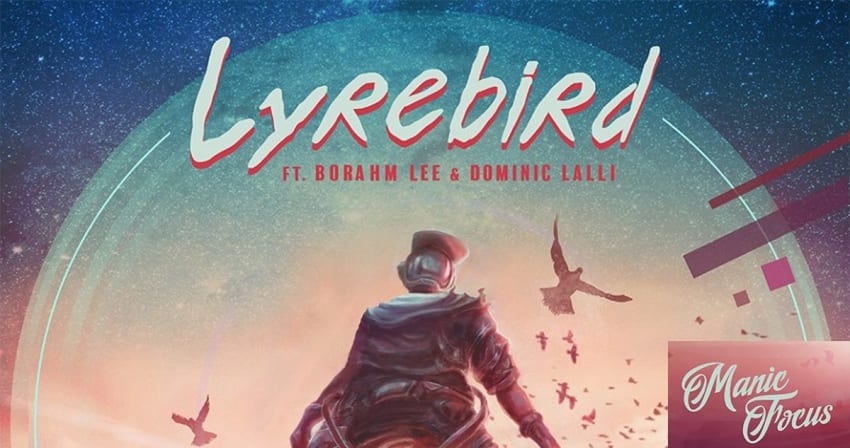 Manic Focus Lyrebird
