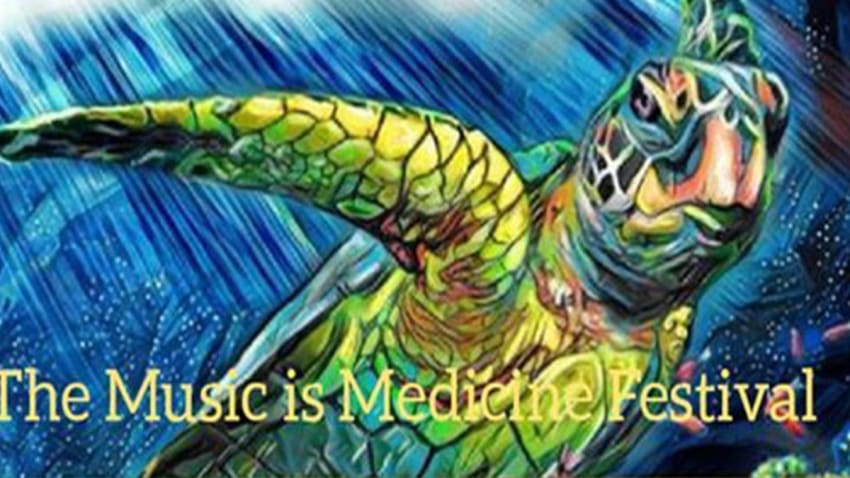 The Music Is Medicine Festival