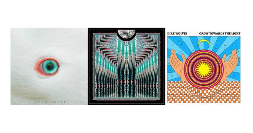 RecommNeds Moon Goose Possum Dire Wolves