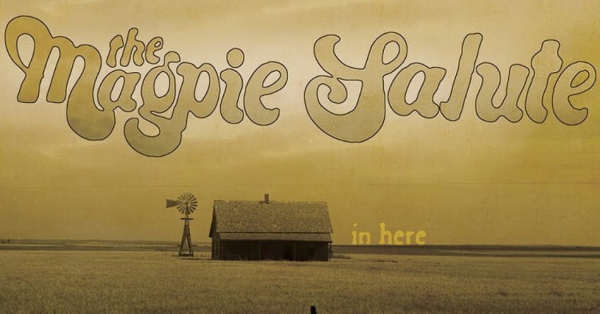 Magpie Salute In Here