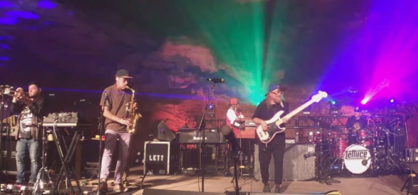 Lettuce Purple Cabbage Caverns Video 1