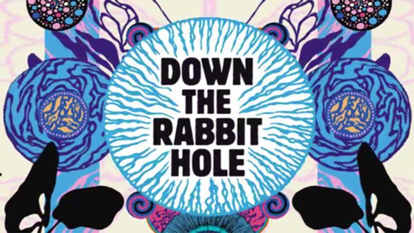 Down The Rabbit Hole
