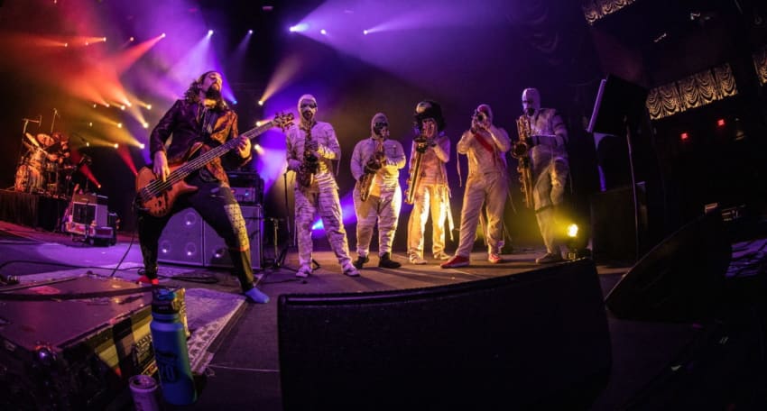 Pigeons Playing Ping Pong DC