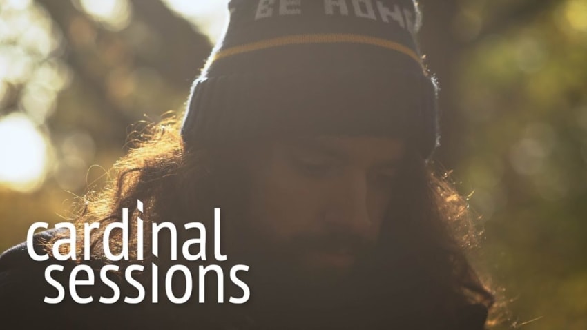 Anthony D'Amato - Honey That's Not All - CARDINAL SESSIONS