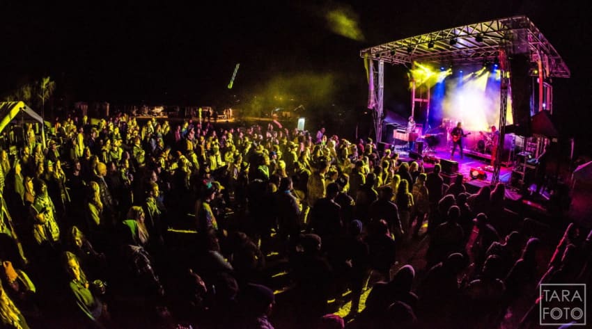 Beanstalk Festival Live