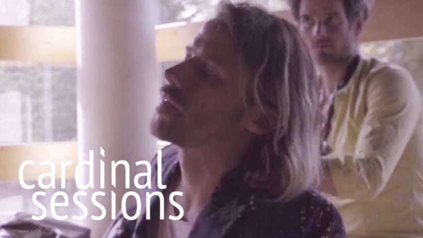 Bonaparte - Into The Wild - CARDINAL SESSIONS