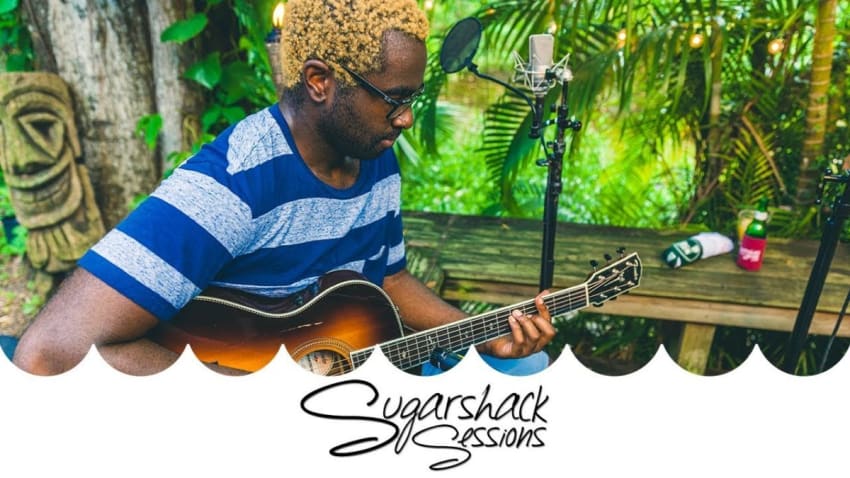 Darenots - Gold Fangs (Live Acoustic) | Sugarshack Sessions