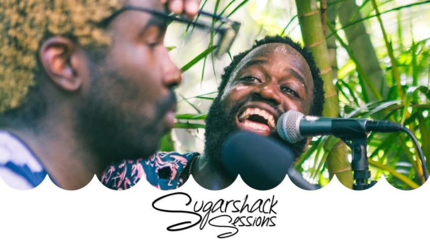 Darenots - Murda Whistle (Live Acoustic) | Sugarshack Sessions