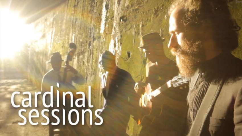 Reverend Shine Snake Oil Co. - Nice Guy - CARDINAL SESSIONS (Traumzeit Festival Special)