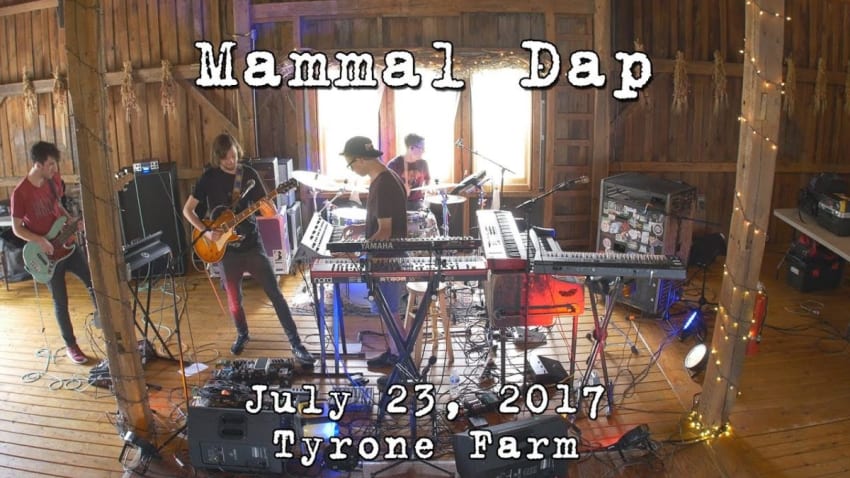Mammal Dap: 2017-07-23 - Tyrone Farm; Pomfret, CT [4K]
