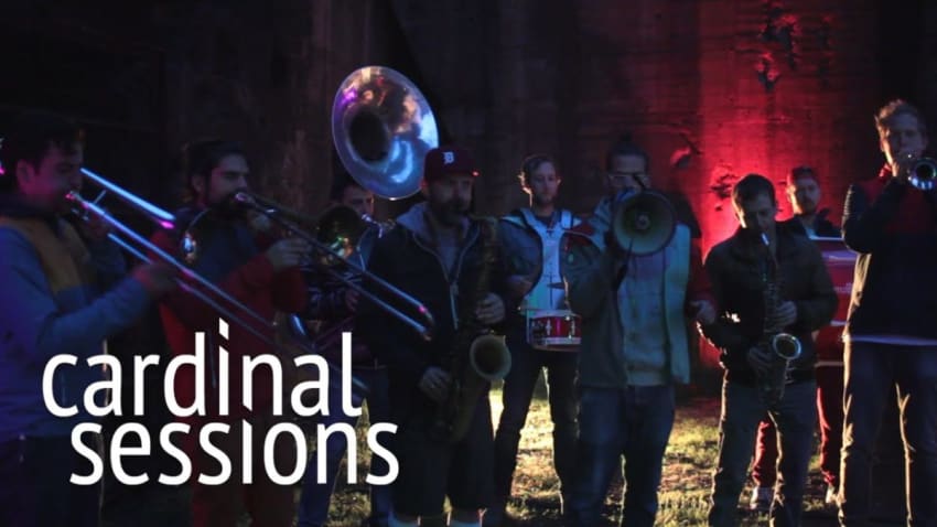 Moop Mama - Komplize - CARDINAL SESSIONS (Traumzeit Festival Special)