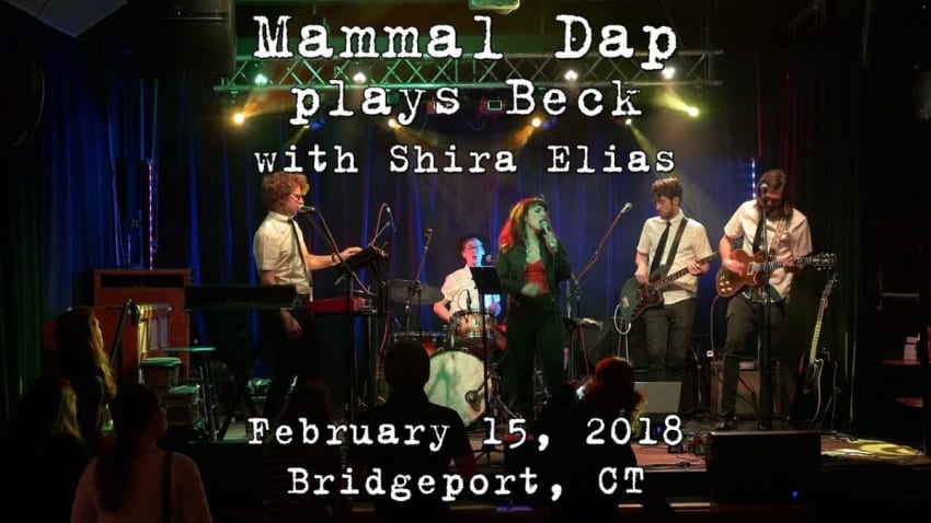Mammal Dap plays Beck with Shira Elias: 2018-02-15 - The Acoustic; Bridgeport, CT [4K]