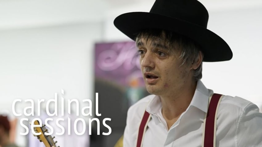 Peter Doherty - A Fool There Was - CARDINAL SESSIONS