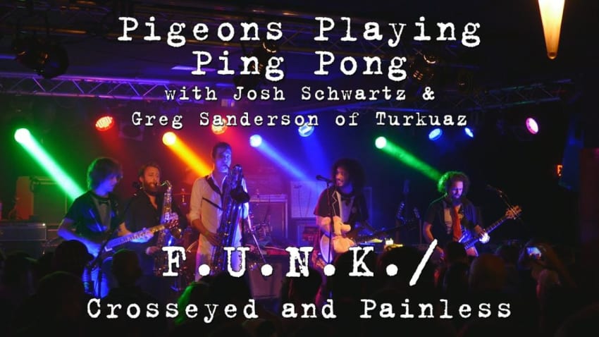 Pigeons Playing Ping Pong w/Josh & Greg of Turkuaz: F.U.N.K. / Crosseyed & Painless [4K]