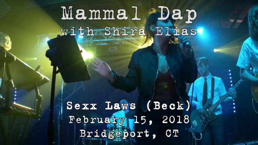 Mammal Dap with Shira Elias: Sexx Laws (Beck) 2018-02-15 - The Acoustic; Bridgeport, CT [2-Cam/4K]