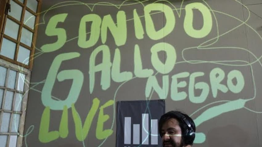 Sonido Gallo Negro - Full Performance (Live on KEXP)