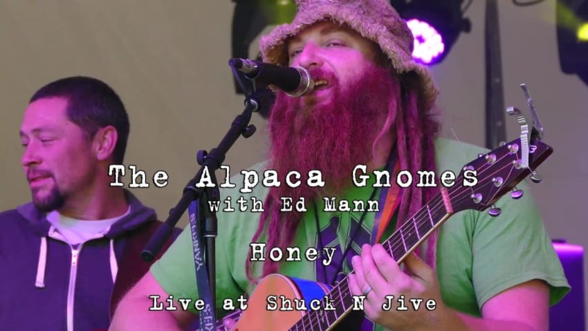 The Alpaca Gnomes w/Ed Mann: Honey [4K] 2015-10-10 - Shuck N Jive