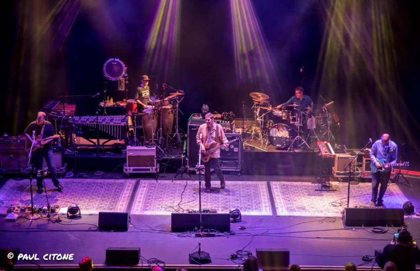 moe. Citone Fullsize