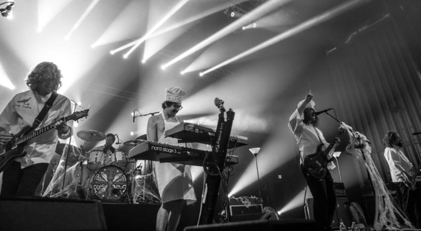 Pigeons Playing Ping Pong Peter Goose