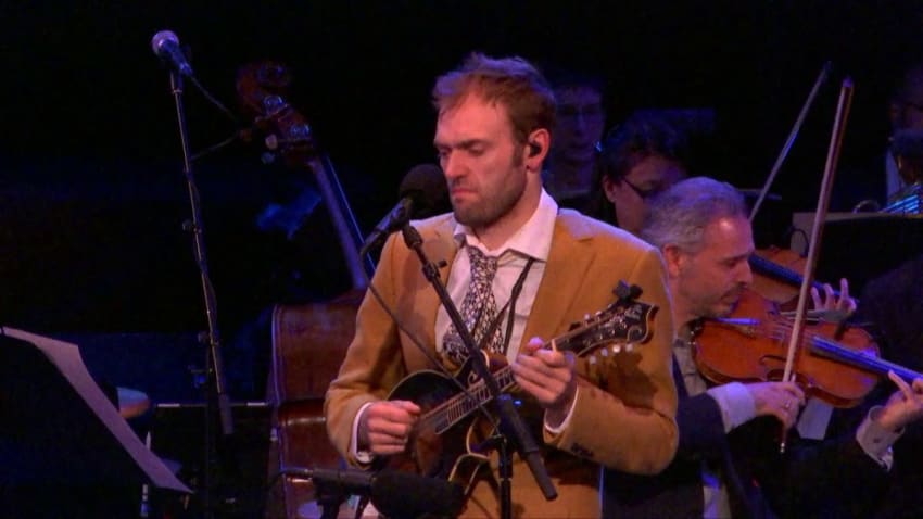 Ascending Bird - The Knights