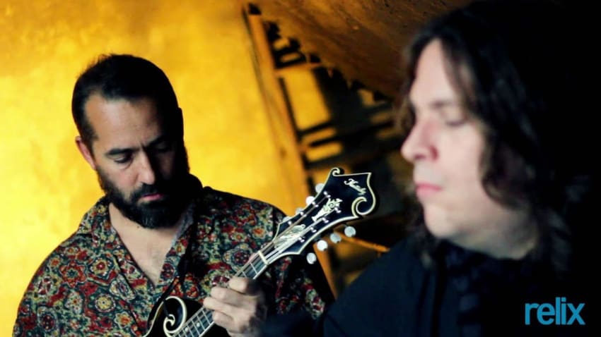 Cosmos Sunshine "Sun Will Rise"