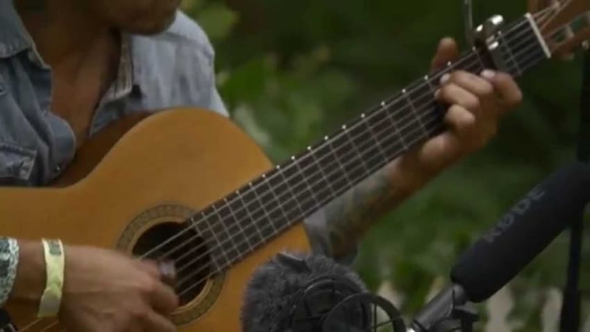 Houndstooth - Full Performance (Live on KEXP @Pickathon)