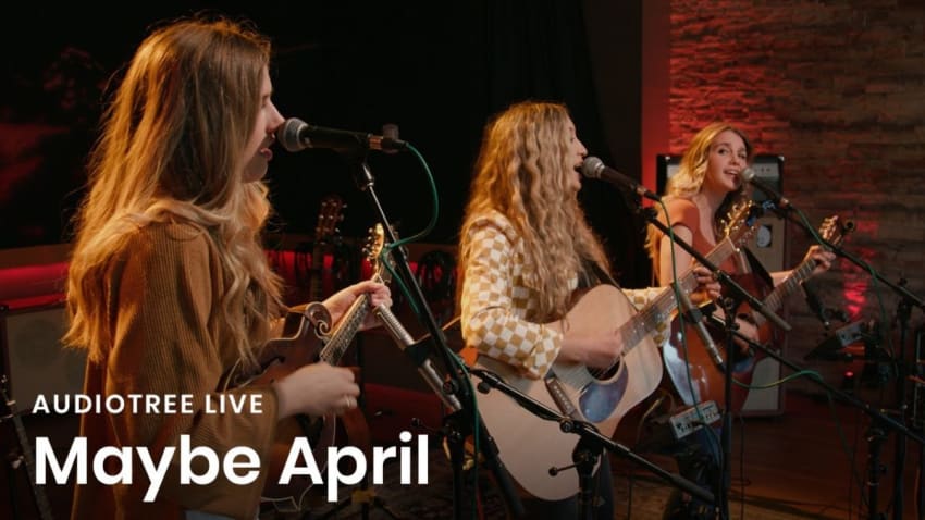 Maybe April - Need You Now | Audiotree Live