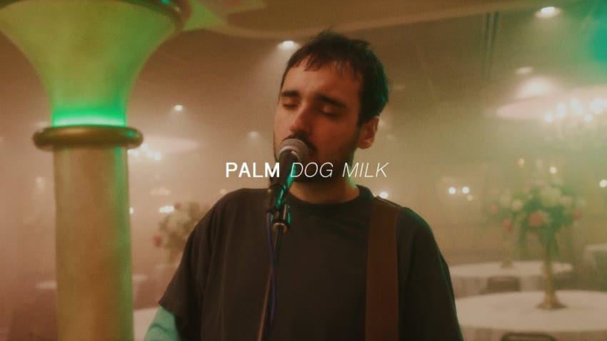 Palm - Dog Milk | Audiotree Far Out
