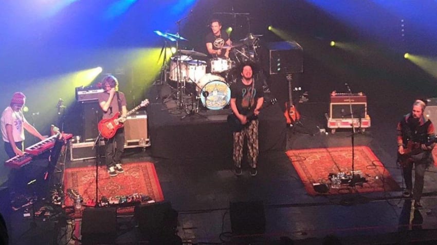 Goose's Peter Anspach Joins Pigeons Playing Ping Pong In Chicago