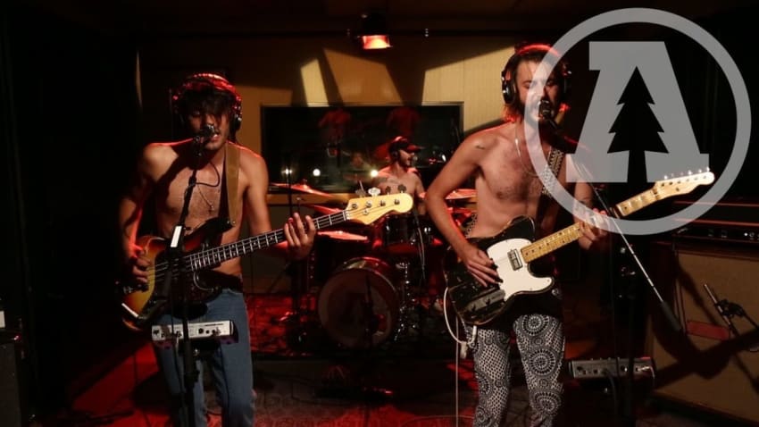 Sexy Zebras on Audiotree Live (Full Session)