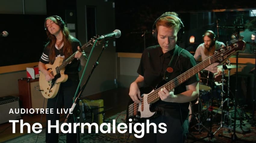 The Harmaleighs - Don't Panic | Audiotree Live