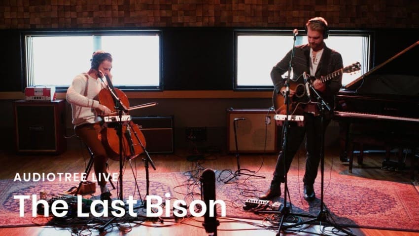 The Last Bison on Audiotree Live (Full Session)