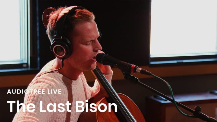 The Last Bison - Switzerland | Audiotree Live