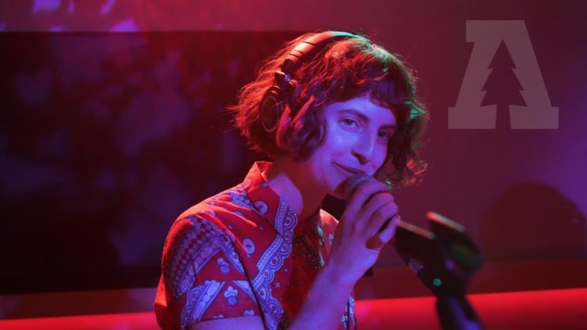 Wild Ones - Paresthesia | Audiotree Live