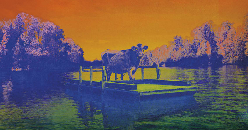 William Tyler Music From First Cow