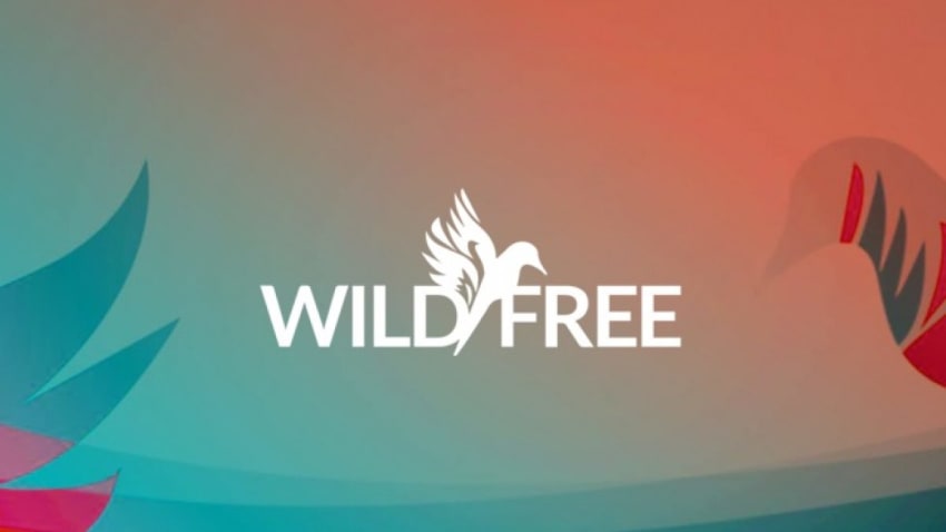 Wild and Free Festival
