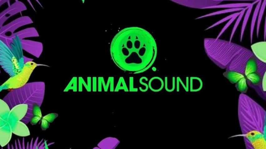 Animal Sound