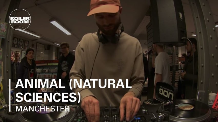 Animal (Natural Sciences) Boiler Room Manchester DJ Set