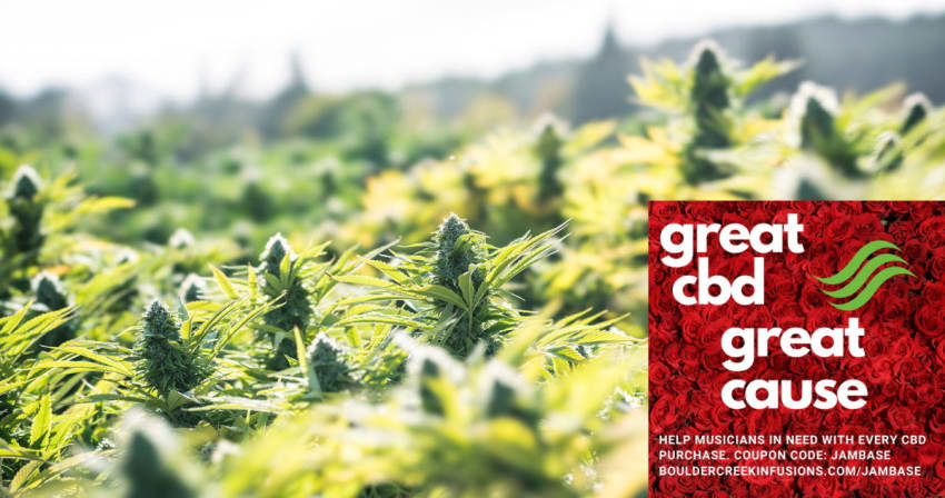 Boulder Creek CBD Sponsored