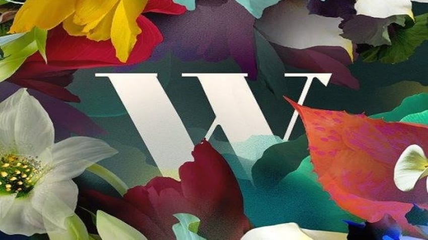 Wilderness Festival